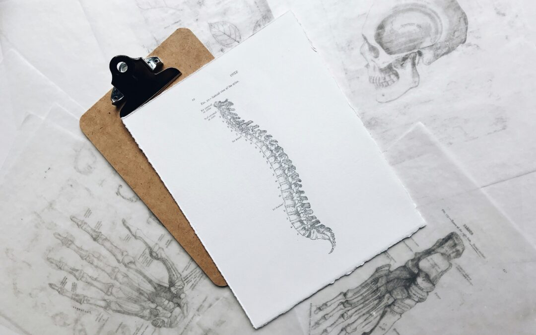 spine diagram placed on a white paper on a cardboard