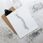 spine diagram placed on a white paper on a cardboard